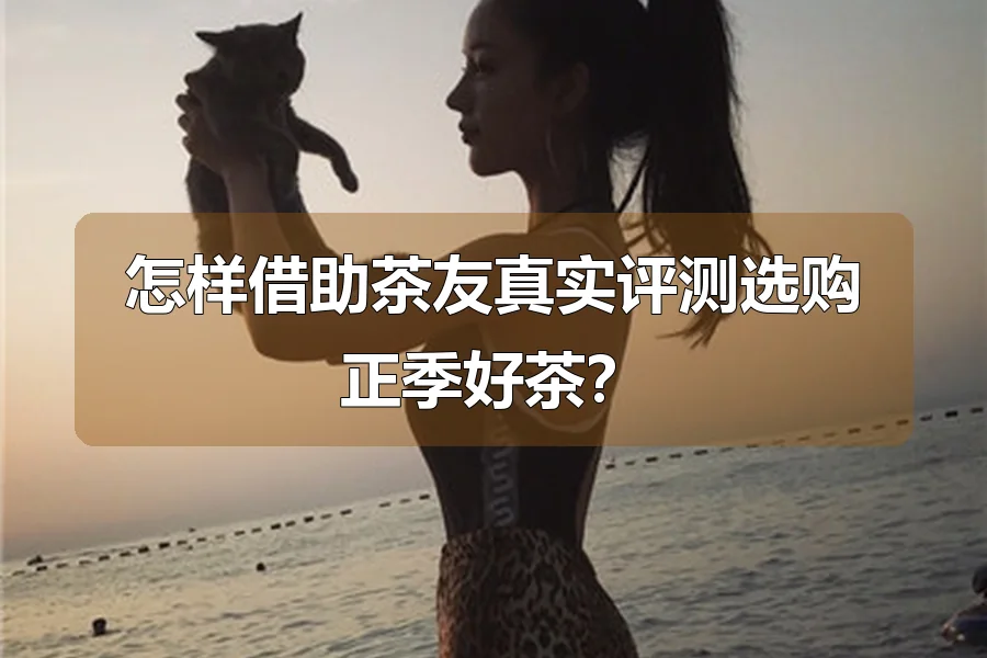 怎样借助茶友真实评测选购正季好茶?
